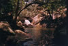 Burdulba Creek Picture Link.