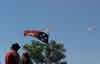 Territoryflag Picture Link