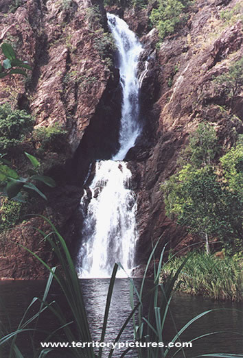 Wangi Falls.jpg