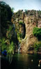 Wangi Falls Picture LinkLink.jpg